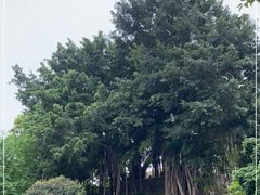 -乌山风景区