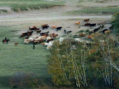 -塞罕坝国家级自然保护区