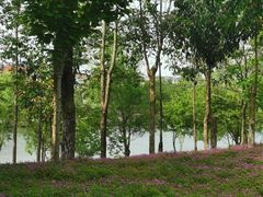 -眉山湿地公园(东坡区)