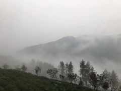 -秦岭风景区