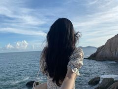 -广东惠东海龟国家级自然保护区