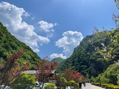 -少华山国家森林公园