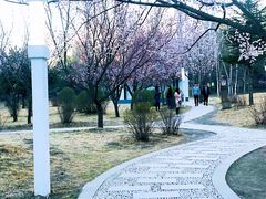 -吉林大学(前卫南区)