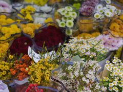 -循礼门鲜花花市(武汉循礼门店)
