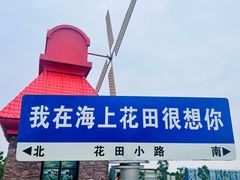 -杭州湾海上花田景区
