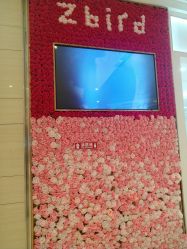 -钻石小鸟钻戒婚戒定制(石路店)
