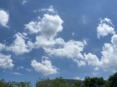 -广州市白云区图书馆