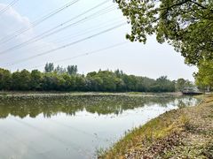 -昆山城市生态森林公园