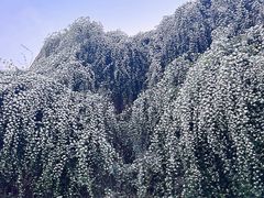 -府河摄影公园