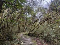 -海螺沟风景区
