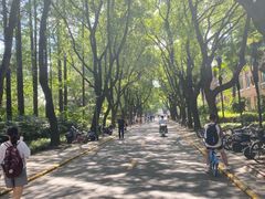-叶家花园