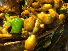 -巴四老城区炭火蛙锅(张江店)