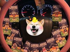 -泡泡玛特POPMART(合生汇店)