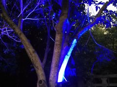 -三盛颐景园-停车场