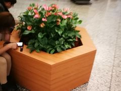 -白云机场易登机休息区