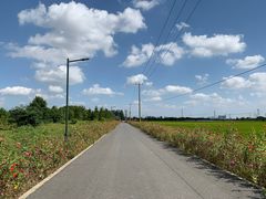 -嘉北郊野公园