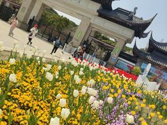 -苏州上方山国家森林公园