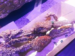 -蛙小侠(威高广场店)