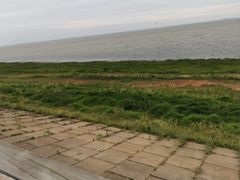 -鄱阳湖国家湿地公园