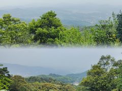-广州市帽峰山景区