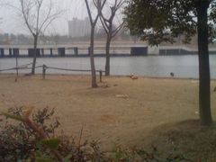 -同济大学(嘉定校区)