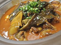 -洞庭家宴·头牌甲鱼(广渠门店)