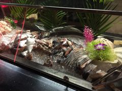 -三亚海韵度假酒店·渔人码头海鲜火锅BBQ自助餐厅·落日吧