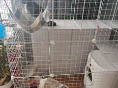 -莱姆星桌游·拼豆·团建