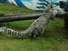 -青藏高原野生动物园