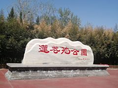 -莲花池公园