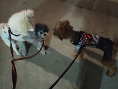 -胖哥俩肉蟹煲(福州仓山爱琴海店)