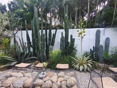 -自由生长植物工作室(深港花卉中心店)