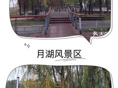 -月湖风景区