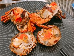 -新发展亚太JW万豪酒店·福苑咖啡厅