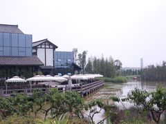 -白鹭湾湿地公园