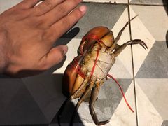 -泰华海鲜中餐厅(普吉镇店)