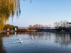 -河北村民俗体验园