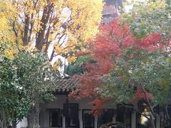 -常熟方塔园