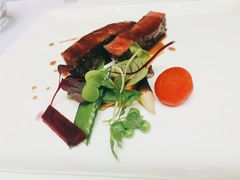 -蝶舍·MAISON PAPILLON