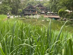 -静安公园(静安寺街道)