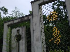 -雅鲁激流探险漂流