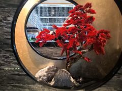 -红辣椒·川菜·火锅(张杨路店)