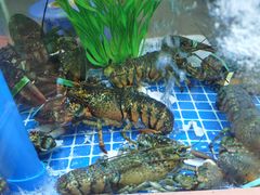 水产区-富临港·蒸汽海鲜·手抓海鲜·炒菜(栈桥店)