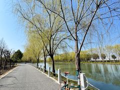 -DAHON大行折叠自行车(松江旗舰店)