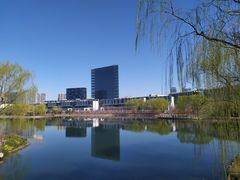 -大兴滨河森林公园