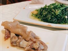 -丁老爷子苏香圆