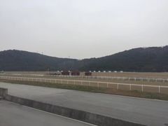 -平湖九龙山旅游度假区