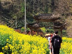 -石潭村