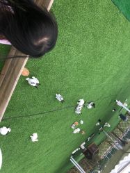 -萌宠亲子动物乐园(槐房万达店)