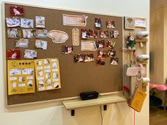 -滚猫咖啡·猫咖·猫友好撸猫(未来城店)